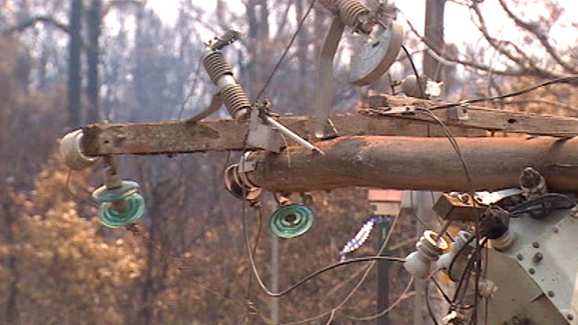 It is alleged one of the Black Saturday fires was sparked by a powerline that snapped in record heat and strong winds.