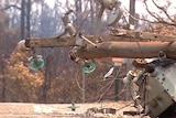 It is alleged one of the Black Saturday fires was sparked by a powerline that snapped in record heat and strong winds.