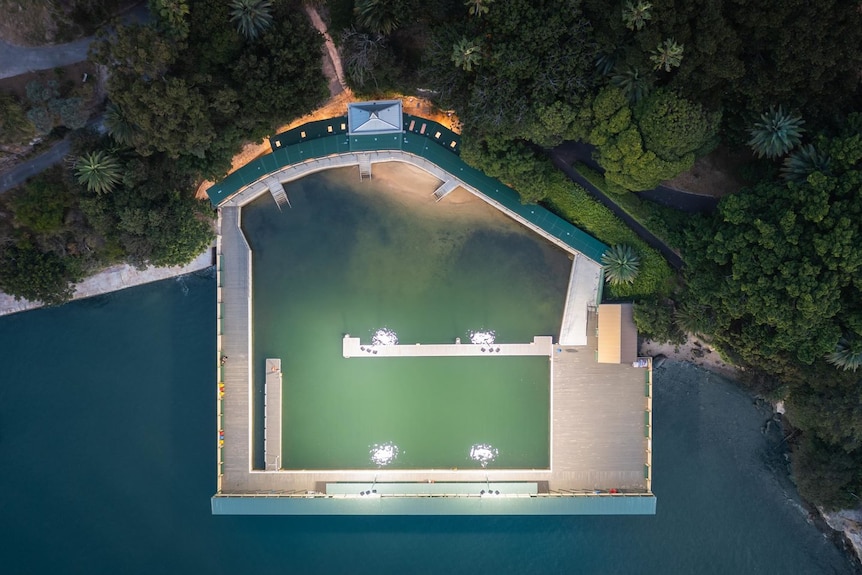 An aerial view of the refurbished Dawn Fraser ocean baths lit up at night. The water is a deep blue and green