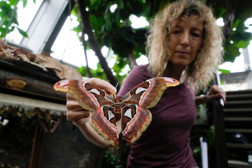 Woman with short blonde hair holds a newborn butterfly