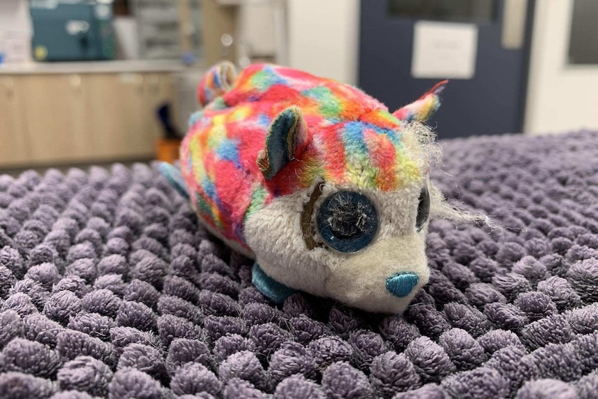 A colourful mouse soft toy looking rather worn.