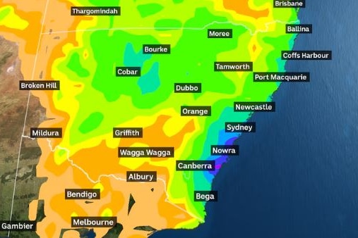A rainmap of NSW's incoming rain, show the entire state is practically covered