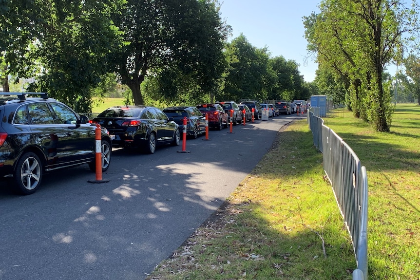 Cars lined up on a road next to a park on a sunny day.