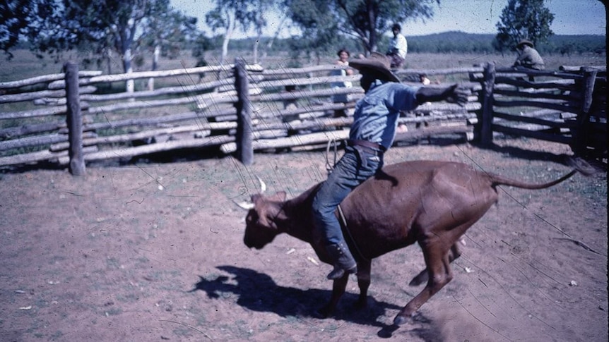 This photo of an impromptu rodeo ride on a bull in the yards is one of Vanessa Russ' favourite from the collection