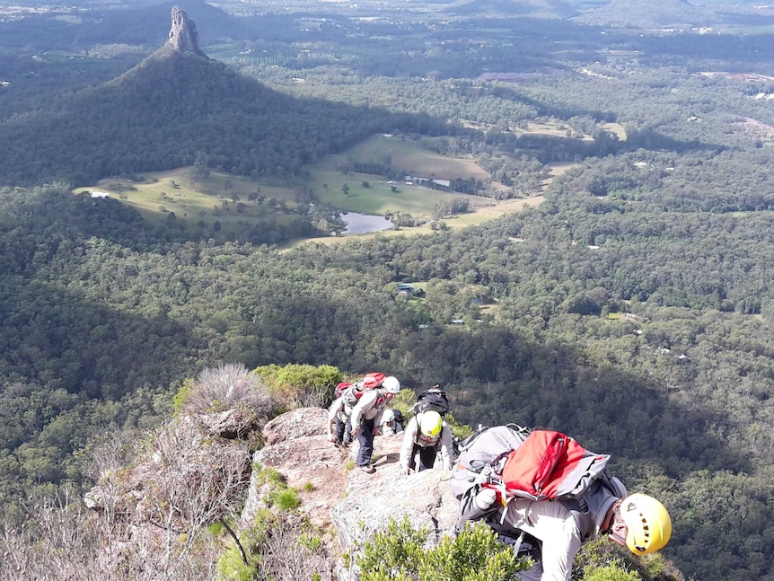 Queensland Fire rescuers climb a trail on Mt Beerwah, in the Glasshouse Mountains