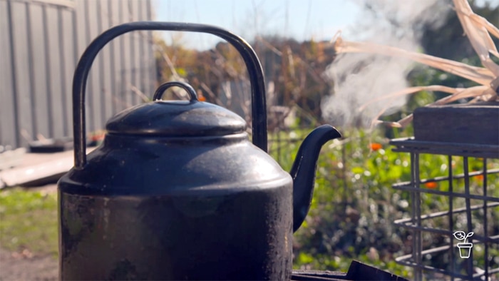 Wrought iron kettle outside on open fire with steam coming out from the spout