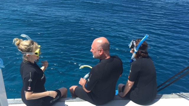 The Climate Council's Tim Flannery was part of a team that has visited a popular offshore reef.