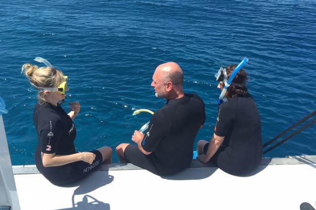 The Climate Council's Tim Flannery was part of a team that has visited a popular offshore reef.