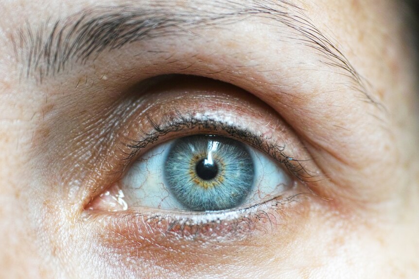 A close up of a woman's single blue eye.
