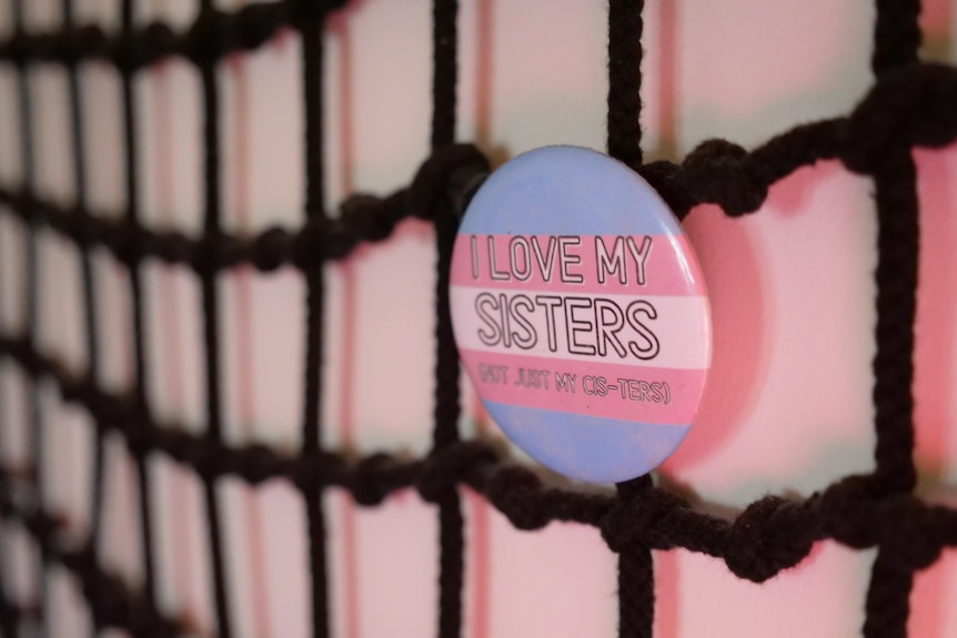 a pin that reads 'i love my sisters, not just my cis-ters'