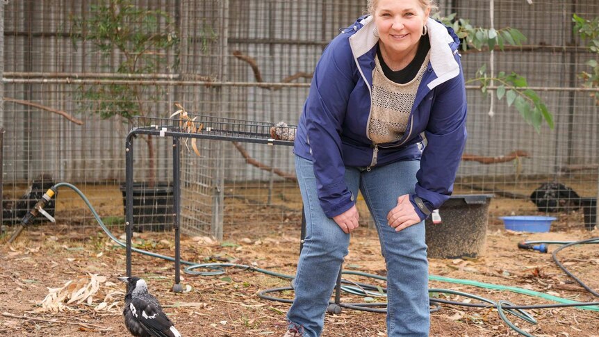 A woman crouching down in a blue jumper and jeans next to a magpie standing in front of bird aviaries.
