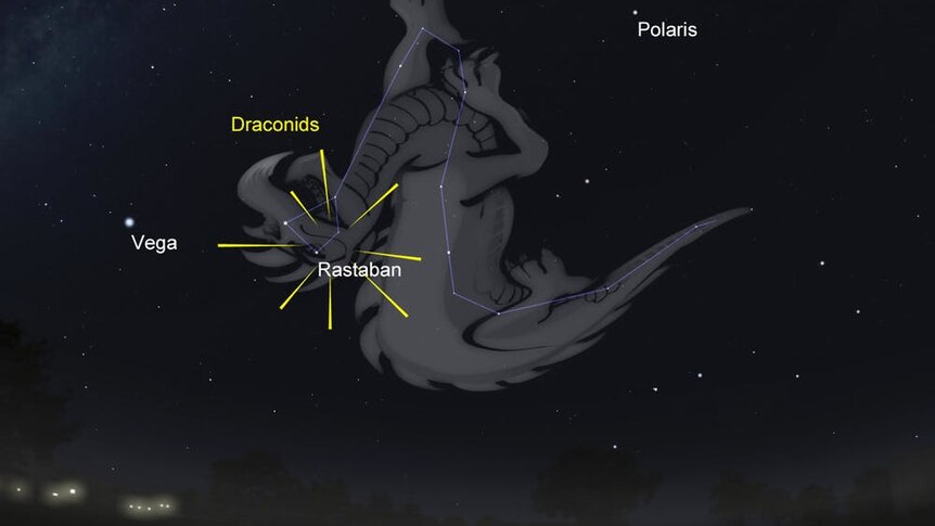 Draconids