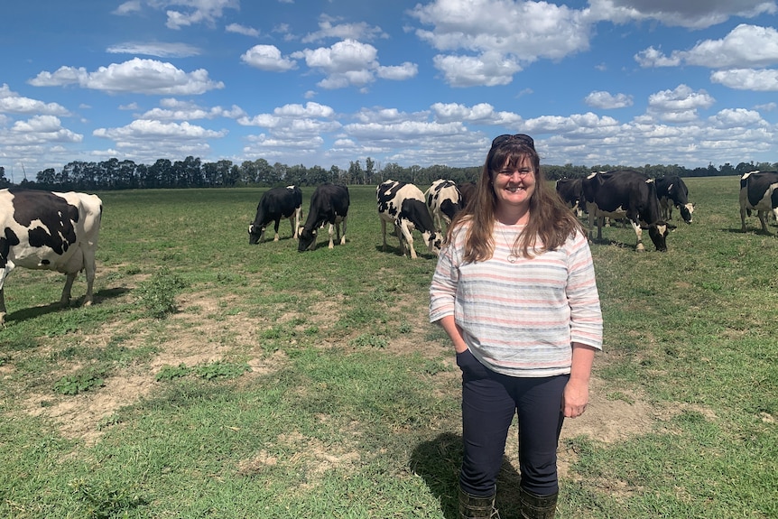 A woman in a white shirt stands in front of dairy cows. 