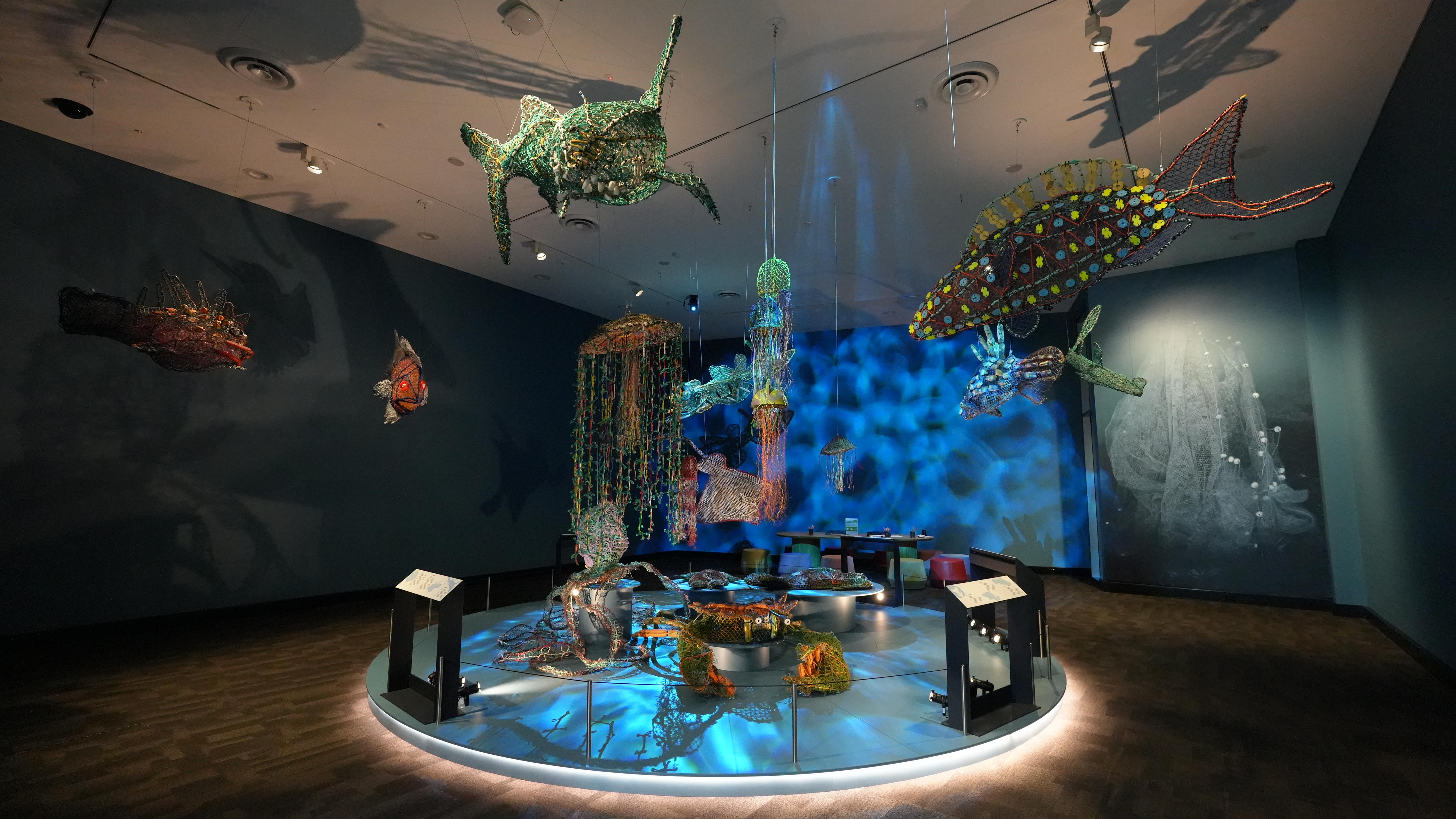A room filled with sculptures made from netting depict the sea creatures of Pormpuraaw
