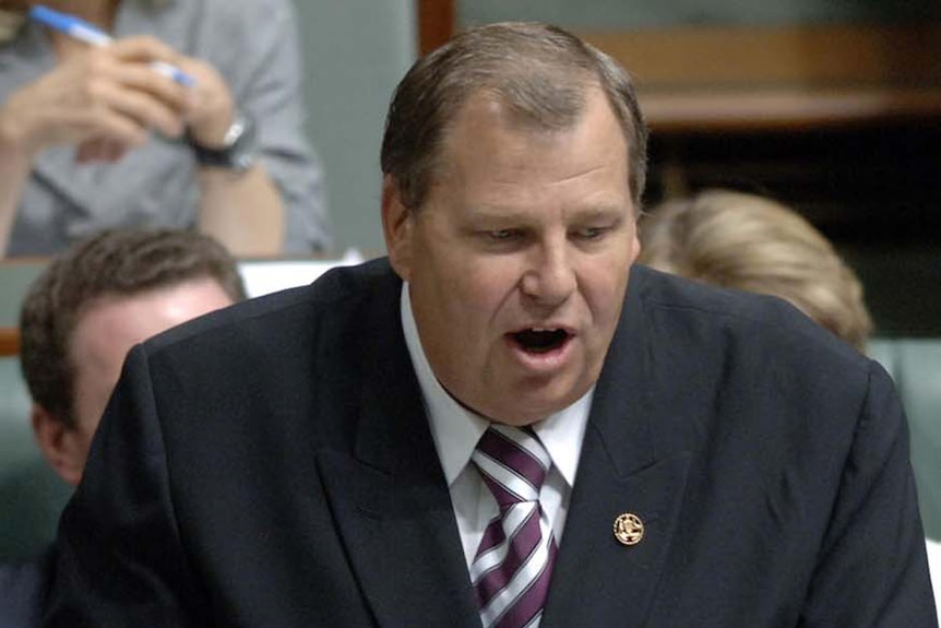 Liberal Paterson MP Bob Baldwin speaking in Parliament.