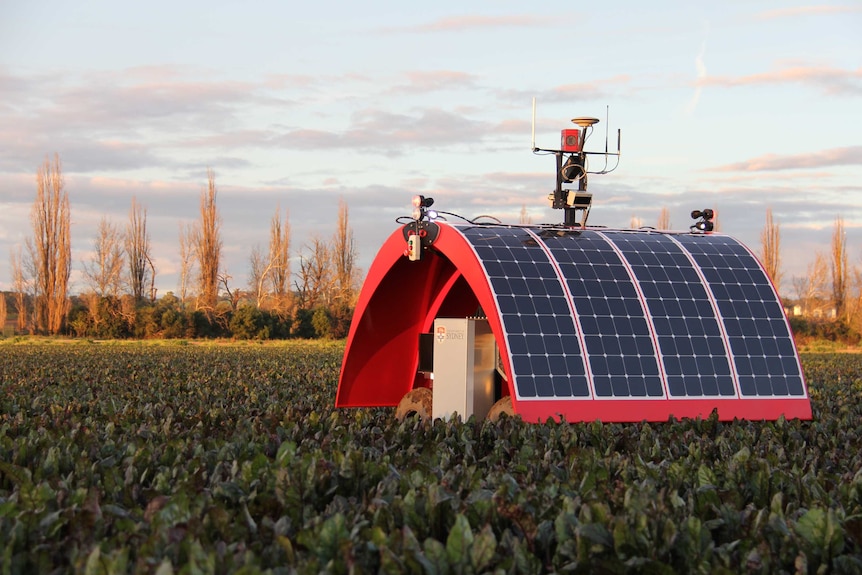 Robot "Ladybird" standing in a field