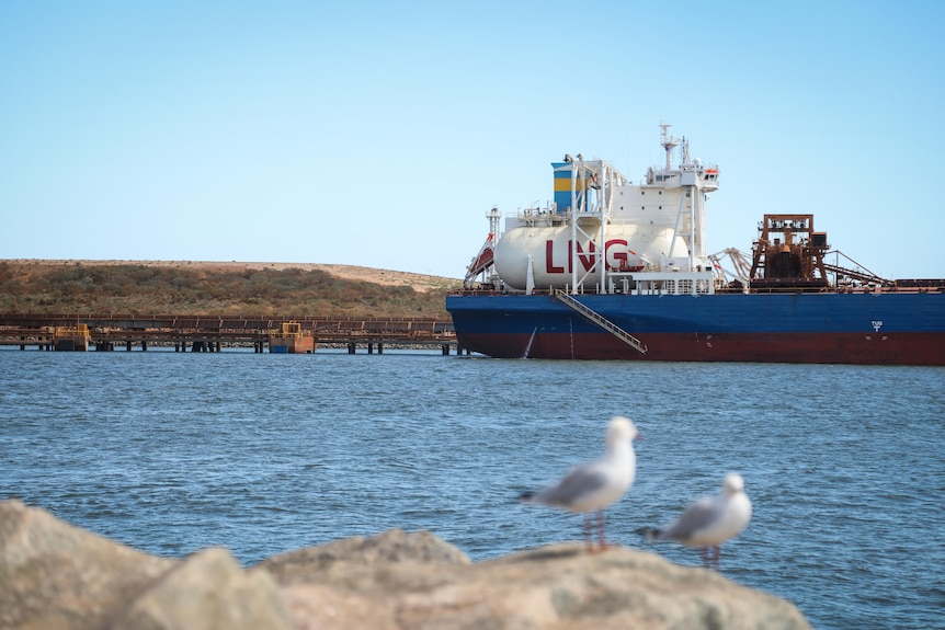 A large ship docked next to a largescale conveyer belt.