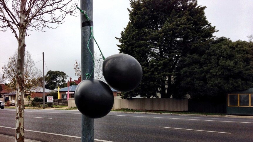 Black balloons hanging in the streets of Bendigo to oppose plans to build a mosque