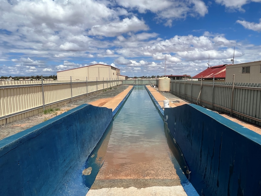 Image of a long pool used by racehorses for training