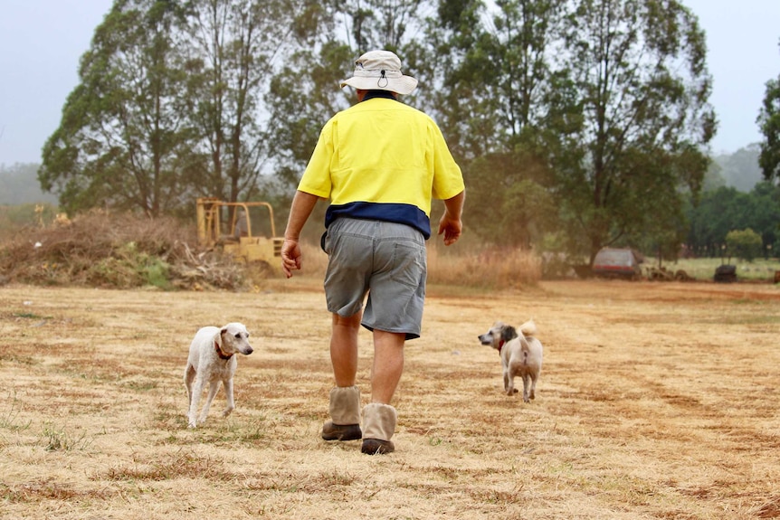 A farmer and his two dogs walking away
