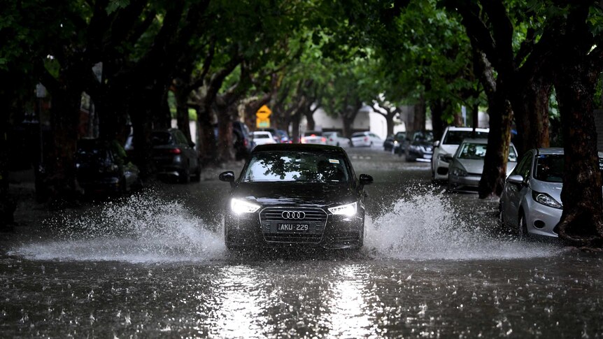 A black Audi drives down the middle of a flooded street with headlights on. The street is lined by large trees.