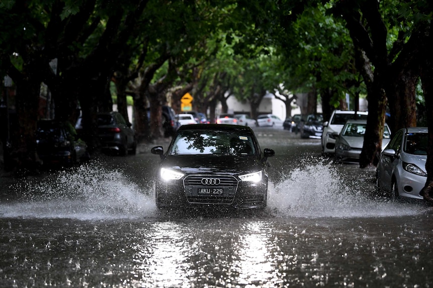 A black Audi drives down the middle of a flooded street with headlights on. The street is lined by large trees.