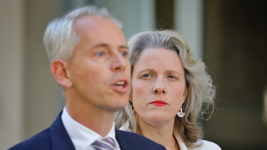 Clare O'Neil stands alongside Andrew Giles at a press conference at parliament house