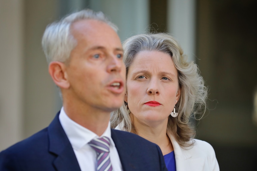 Clare O'Neil stands alongside Andrew Giles at a press conference at parliament house