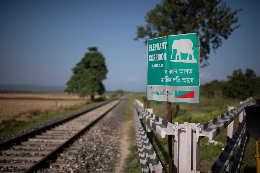 A sign reading 'elephant corridor ahead' next to a train line.