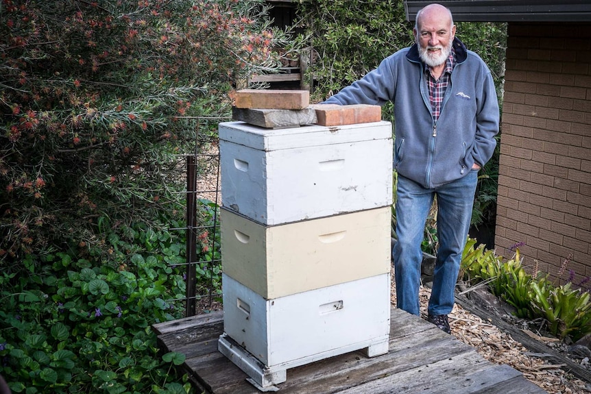 Norm Webb and his award winning hives