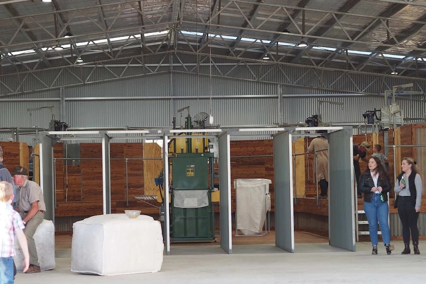 Wideshot of an empty shearing shed - people standing around 