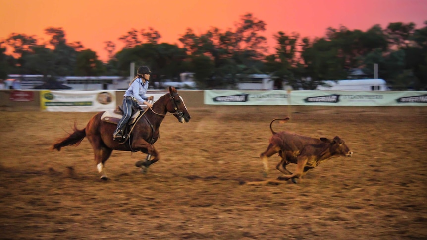 Fifteen-year-old Jaiden Hill on a horse chasing a beast in the arena, with pink and orange skies in the background.