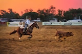 Fifteen-year-old Jaiden Hill on a horse chasing a beast in the arena, with pink and orange skies in the background.