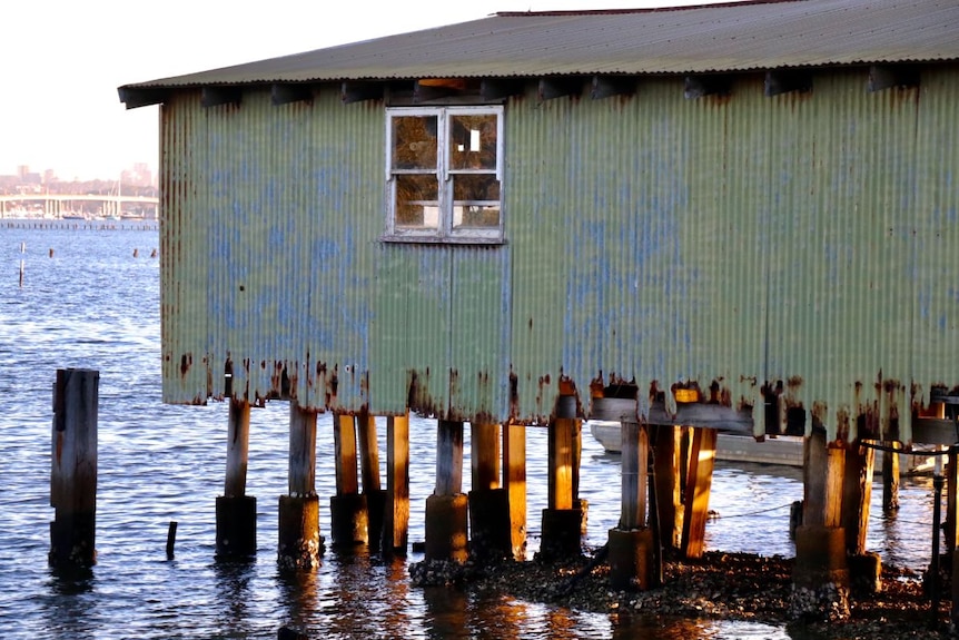 A corrugated iron shed on stilts over water, rusting at the edges.