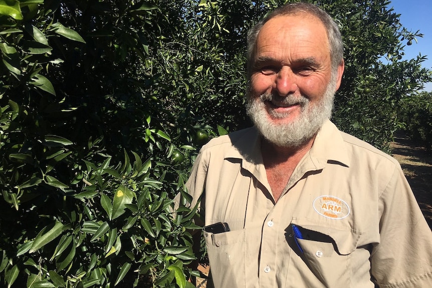 Irrigator Rob Mansell pictured with his fruit trees on his farm on the edge of Hattah Lakes.