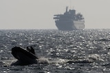 An Israeli speed boat escorts Turkish ship Mavi Marmara into port following fatal raid.