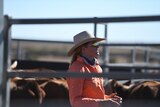 Woman in orange shirt, wearing hat, standing in cattle yards.
