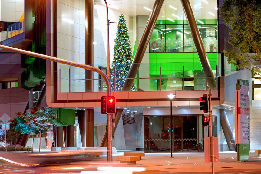 One of the many Christmas Trees Jane Dawes and her team will place throughout Brisbane.