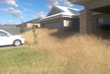 Tumbleweeds block the entry to a Wangaratta house and garage.