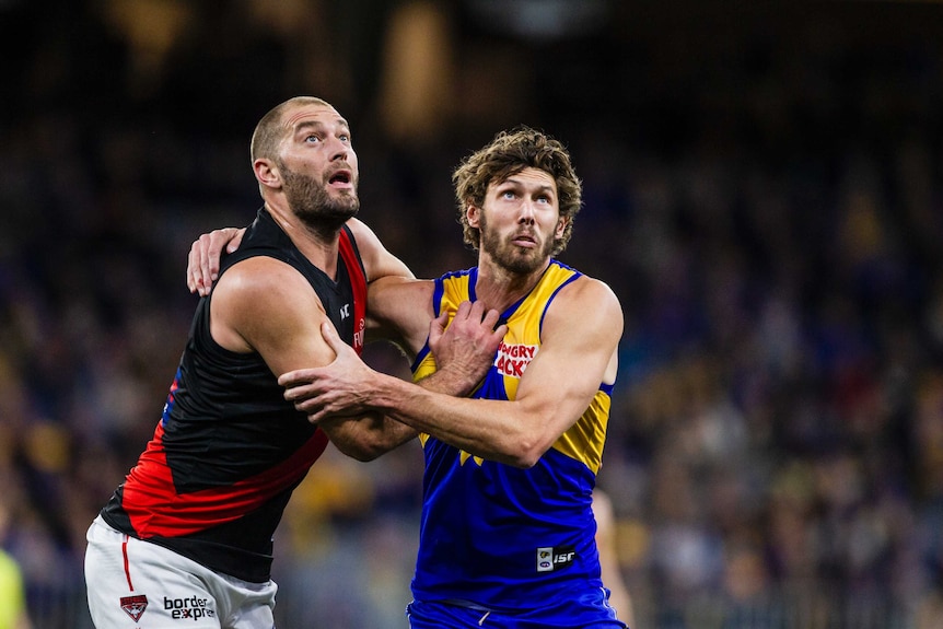 Two AFL players push against each other as they look in the air waiting for the ball to be thrown in.