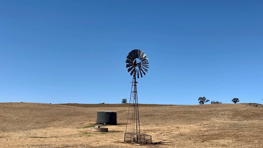 A windmill stands in a baron paddock
