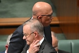 Albanese and Dutton's heads in profile are aligned in the centre of the frame, Albanese scratching his neck.