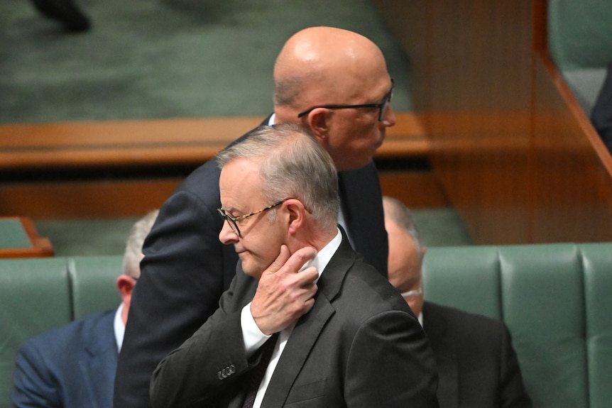 Albanese and Dutton's heads in profile are aligned in the centre of the frame, Albanese scratching his neck.