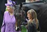 Queen Elizabeth with her horse Estimate