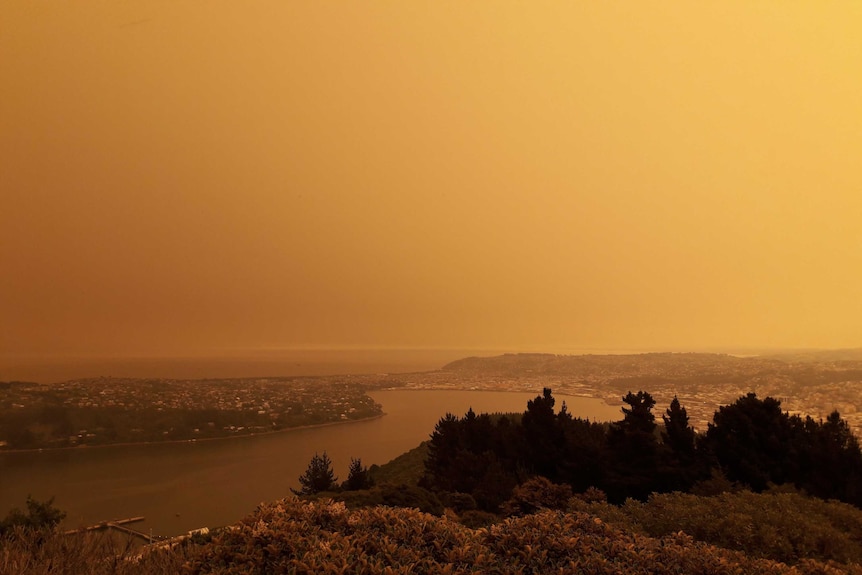 Smoke blankets Dunedin in New Zealand