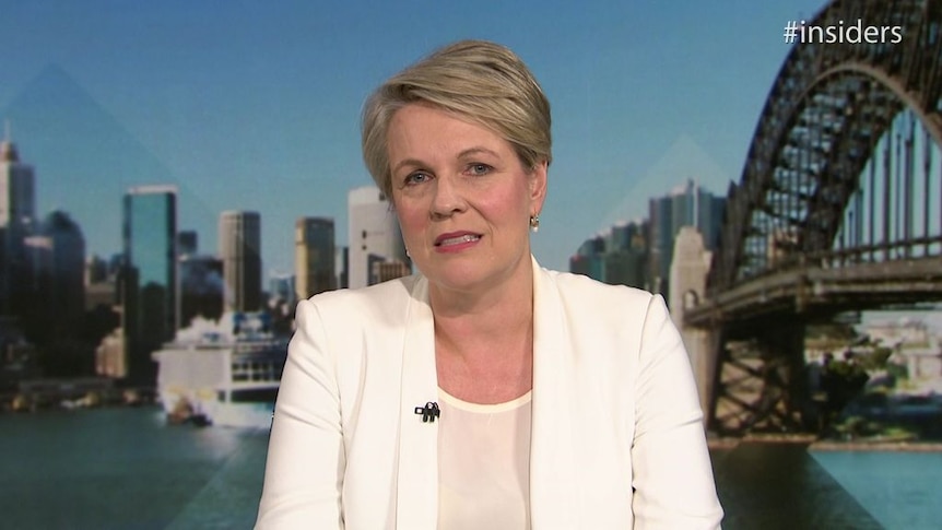 Tanya Plibersek says the Government's proposed Integrity Commission is 'a joke'