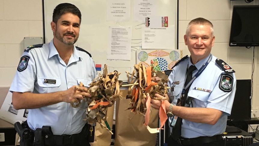 Two police officers hold handfuls of homemade slingshots surrendered to them by children from Yarrabah.
