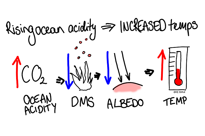 Increased CO2 = decreased DMS = decreased albedo = higher atmospheric temperatures.