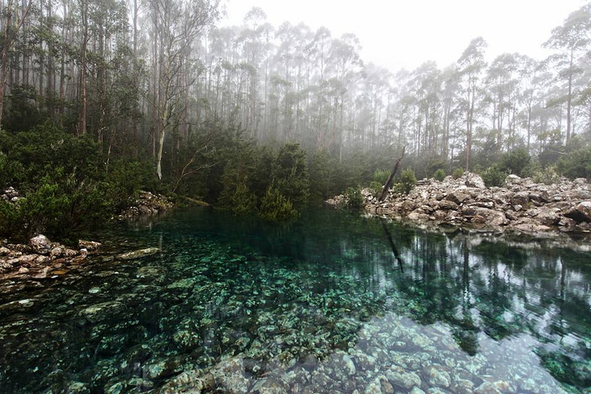 Mount Wellington tarn