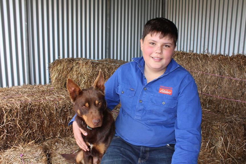 Tom O'Dwyer and his Kelpie Con.